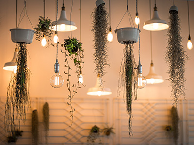 ddos攻击防御手段